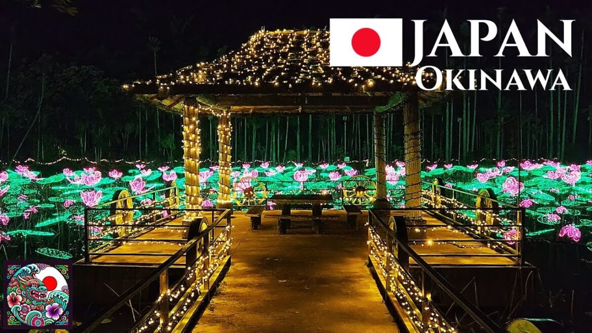 Night Walking Tour in a Tropical Botanical Garden | Okinawa, Japan