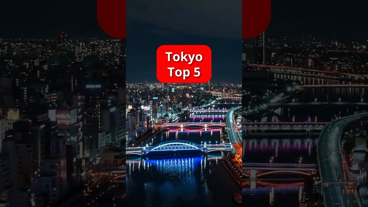 5 Fun Things to Do in Tokyo #shorts