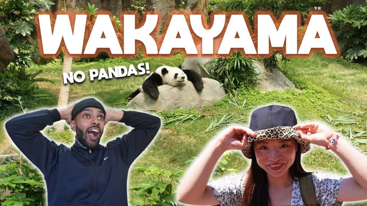 I Didn’t Expect This in Wakayama, Japan | Adventure World, Caves & Ramen