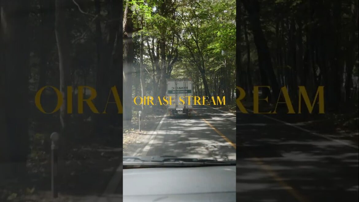 Escape the Heat: this is probably the coolest spot in Japan for summer, Oirase Stream #japan #aomori