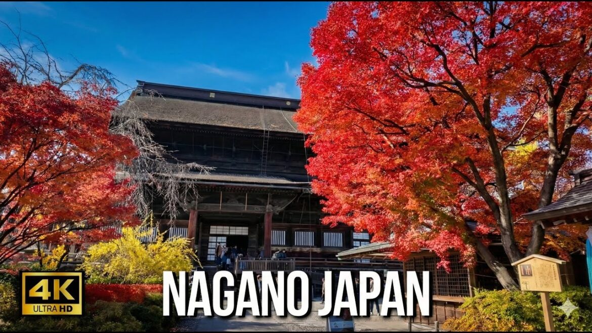 NAGANO JAPAN 4K ASMR Walking Tour - Zenkoji Temple: Vibrant Autumn Leaves & Sacred Path 【4K HDR】