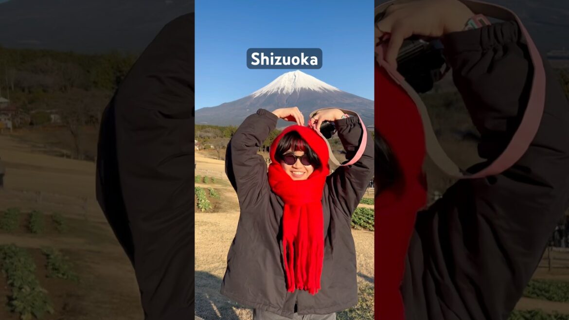 Shizuoka Fuji Dream Trip