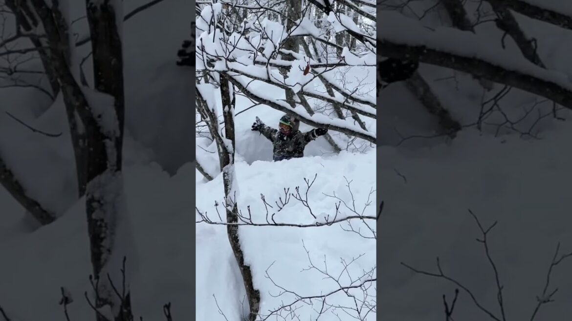 We wished…. and it came true! 💫 ❄️ #travel #hakuba #japan