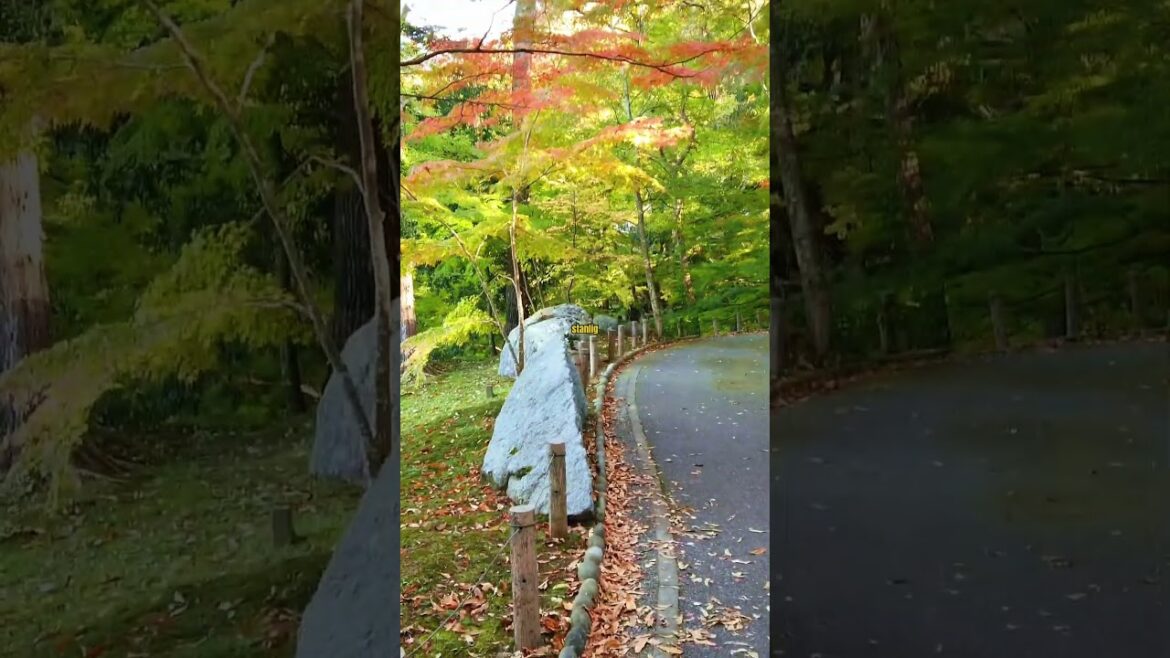Naritasan Park, Japan