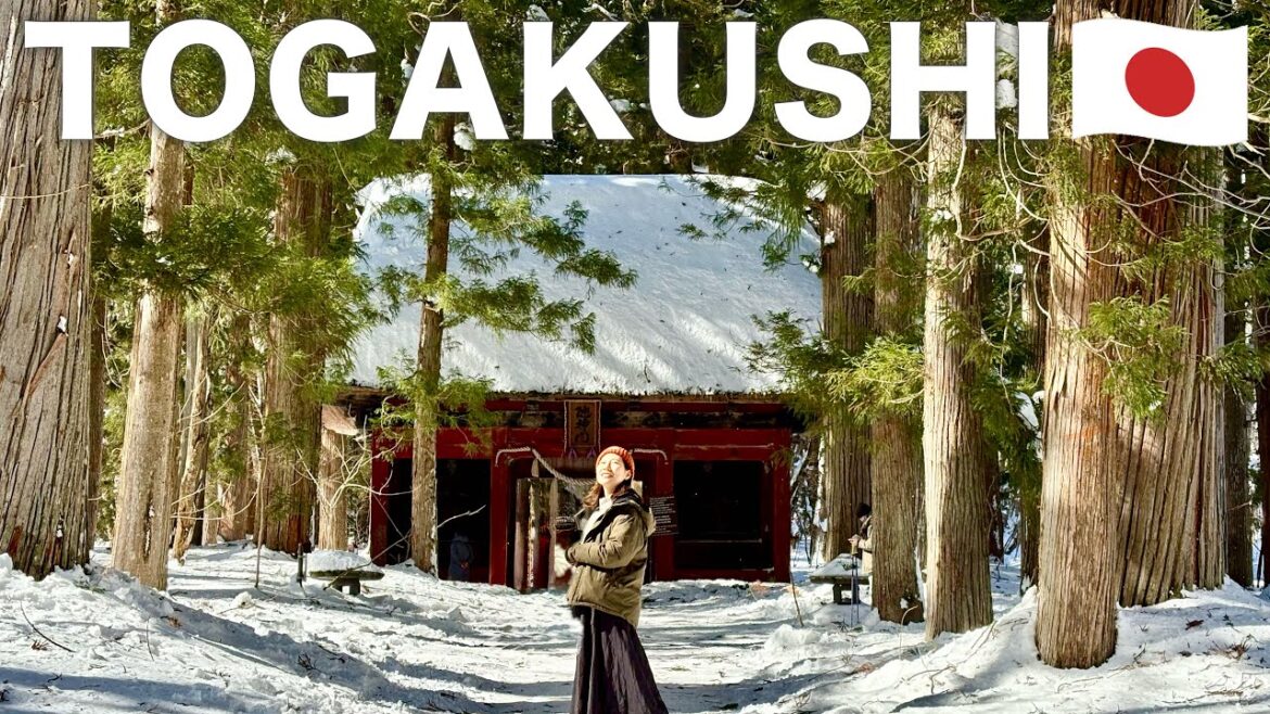 NAGANO🇯🇵 Walking Through Snowy Togakushi Shrine ❄️ Japan Winter Travel