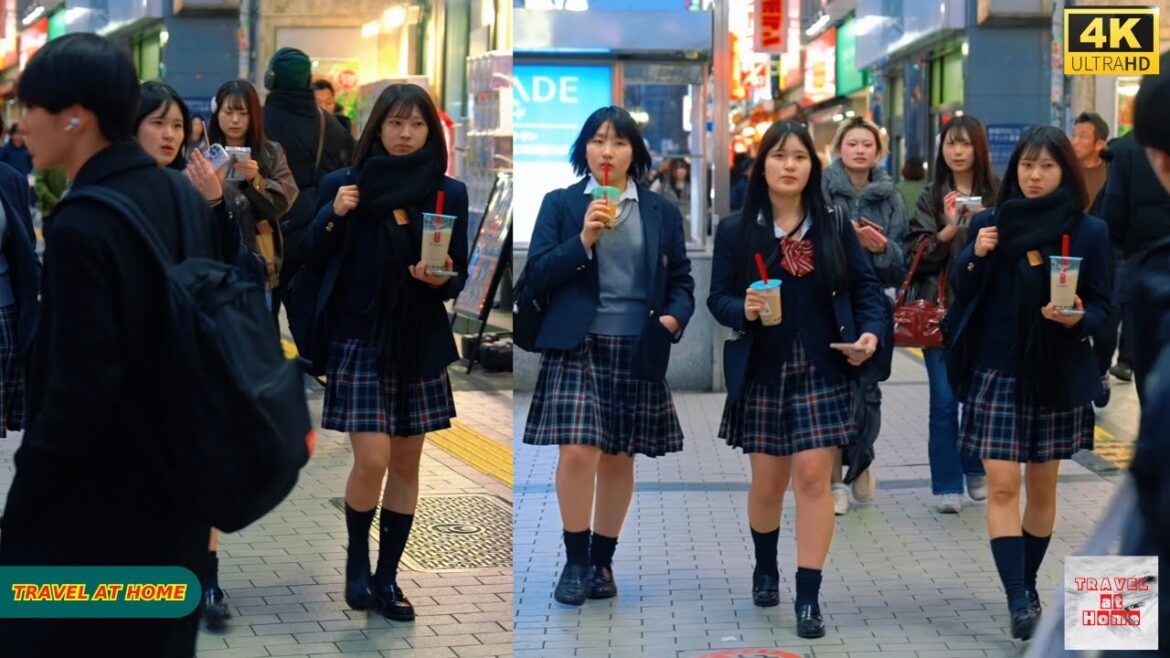 4K HDR Japan travel 2026 | Walk in Shinjuku(新宿)Tokyo Japan | Relaxing Natural City ambience 4K HDR Japan travel 2026 | Walk in Shinjuku(新宿)Tokyo Japan | Relaxing Natural City ambience