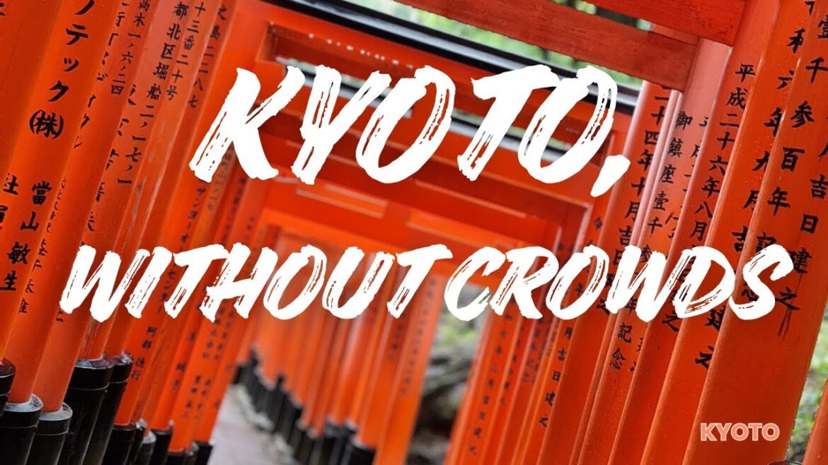 Kyoto’s Must-See! Fushimi Inari & Arashiyama Bamboo Forest | Japan 2025 Vlog 7