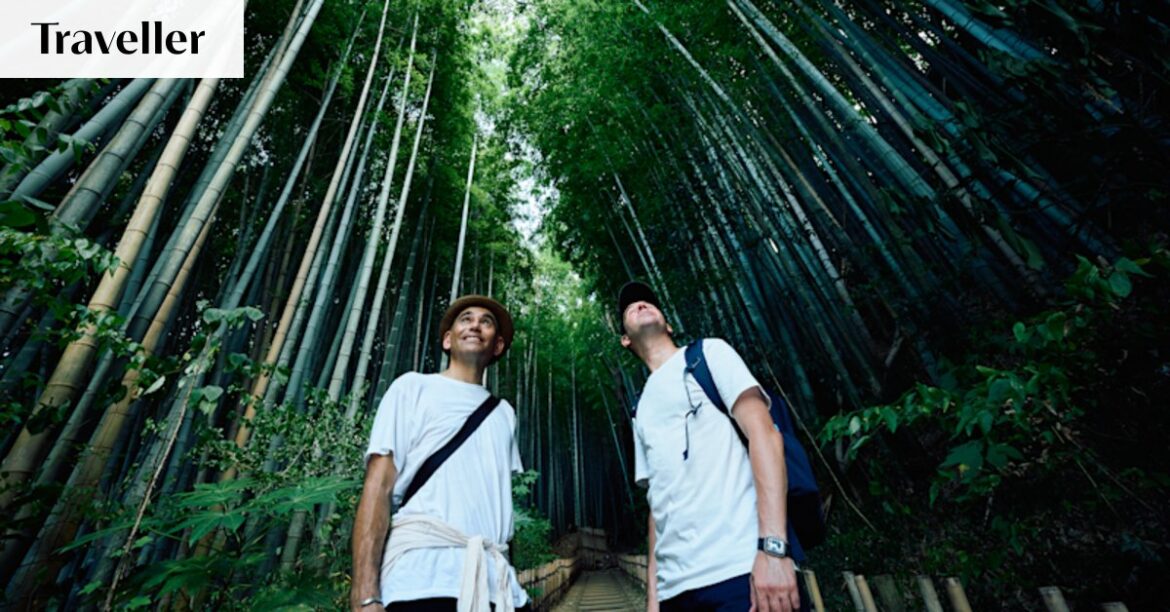 New Narita Beyond program offers cultural and food experiences New Narita Beyond program offers cultural and food experiences