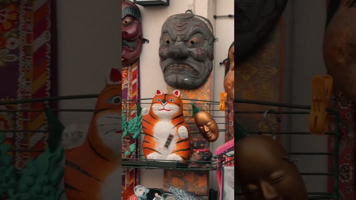 Japan in Summer 2025 | Narita, Chiba