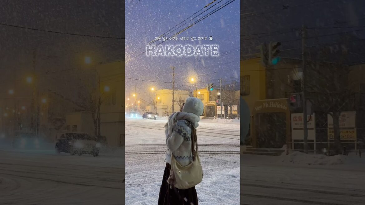 삿포로 말고 여기! 겨울왕국 하코다테 ☃️