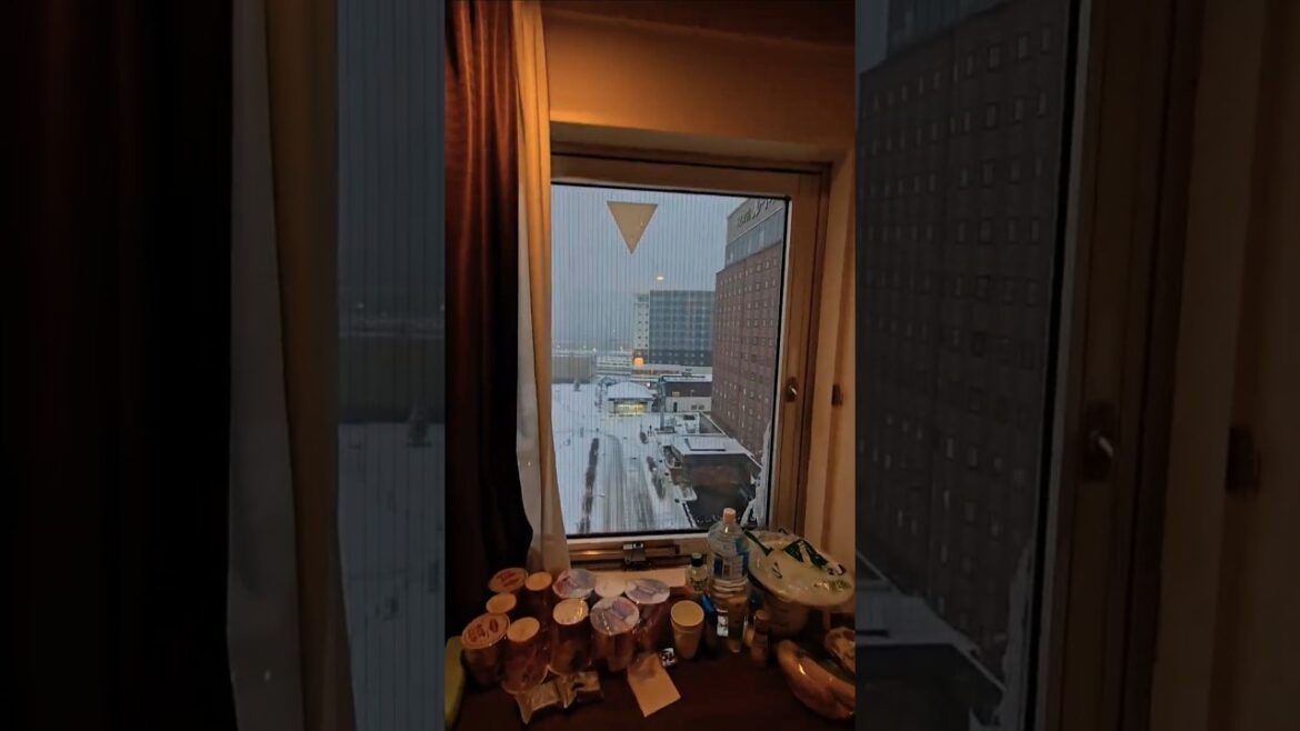 Watching Snow Fall from My Hotel Room ❄️ #japan #hakodate #travel