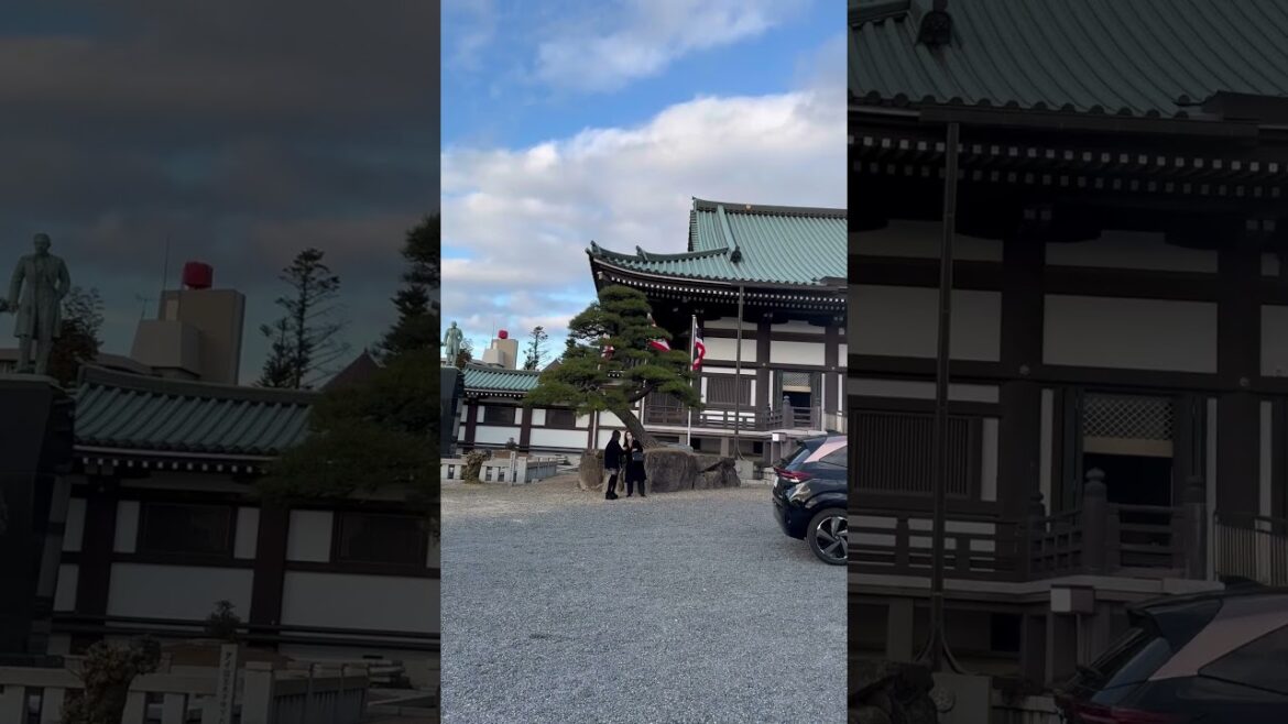 Nagoya travel 🇯🇵🇯🇵🇯🇵 #japan #travel #nightcity #nagoya #dreemcity #nightvibes