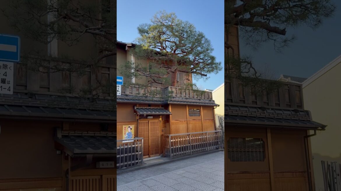 Exploring Hidden Okiya Houses in Gion Kyoto | Unique Geisha District Travel Vlog Japan