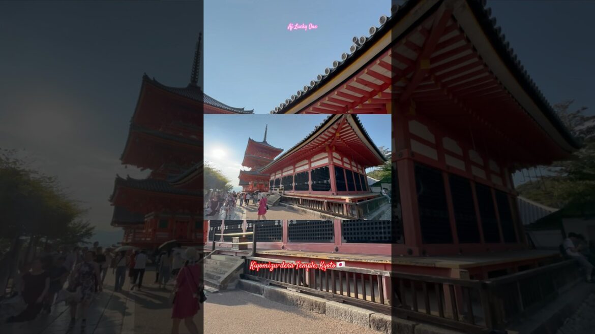 Kiyomizu dera Temple Kyoto  #travel #viral #short #japan