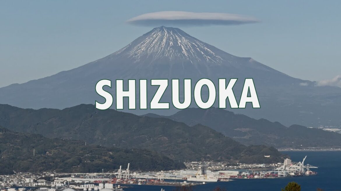 Shizuoka Travel Vlog 🇯🇵 | Mount Fuji Views, Nihondaira, Toshogu Shrine & Local Izakaya Food