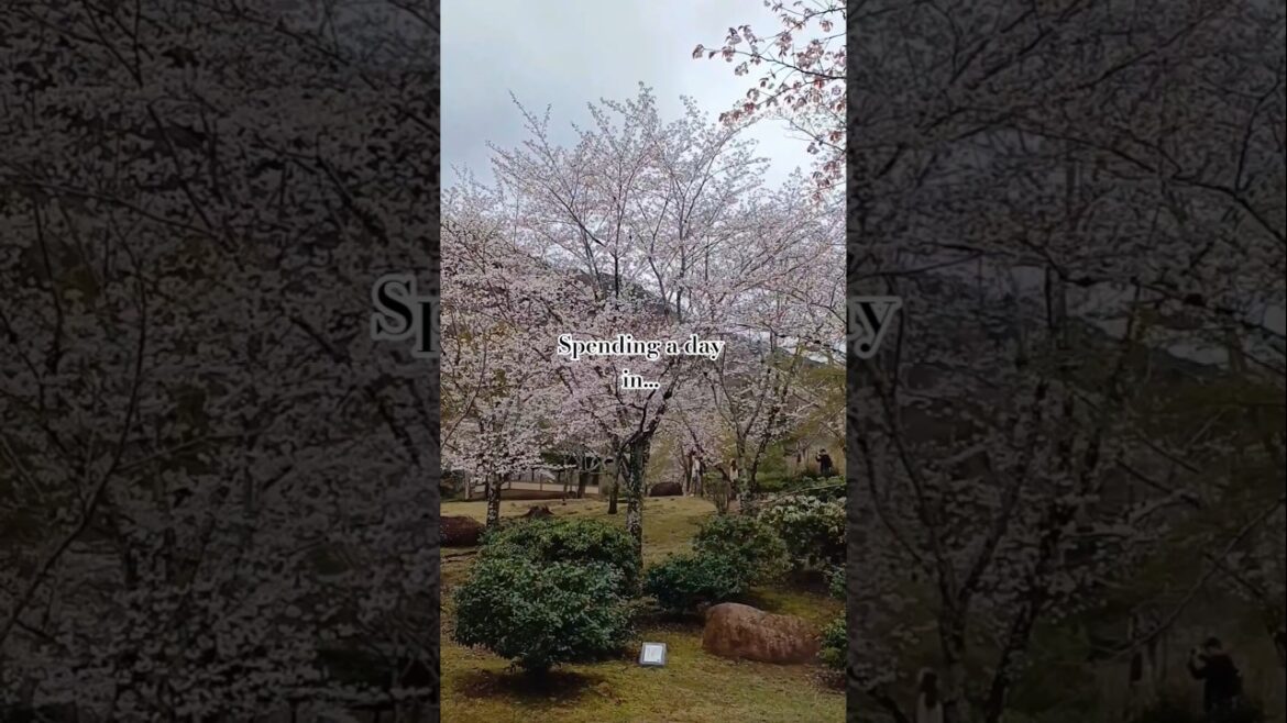 Spending a day in..🌸. #travelling #travel #japan #nagoya #kimonostyle #nagoyacastle