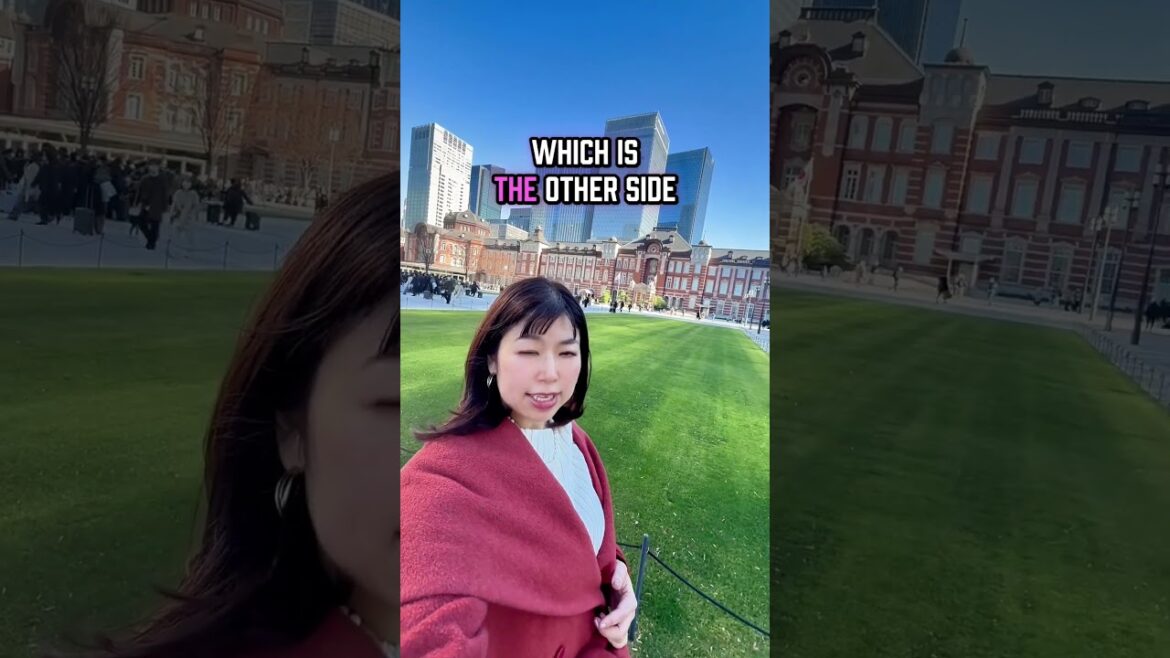 Watch this before you go to Tokyo station! A licensed tour guide will teach you #japantips Watch this before you go to Tokyo station! A licensed tour guide will teach you #japantips