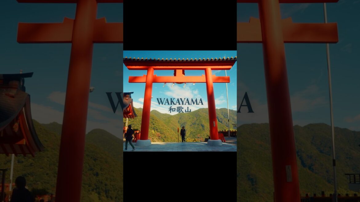 5 Days in Wakayama - the sacred heart of Japan #wakayama #kumanokodo #japanvlog