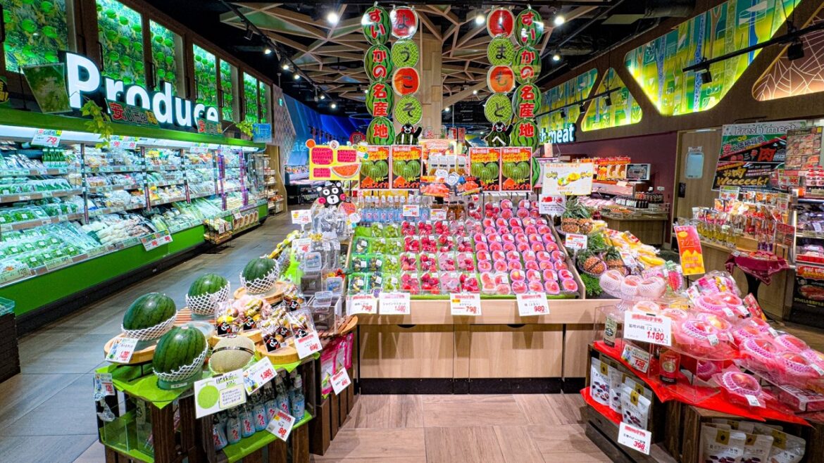 🇯🇵 Welcome to HALLO DAY — A PREMIUM Local Supermarket in KUMAMOTO