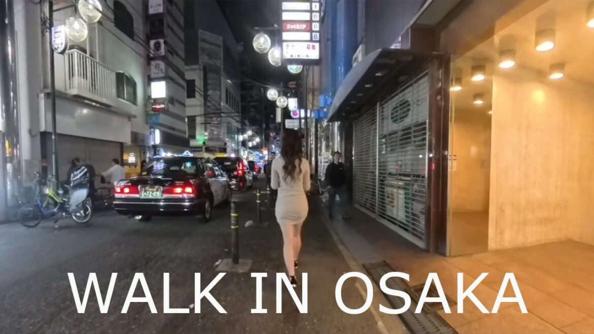 Osaka, Japan. Dotonbori tour by night