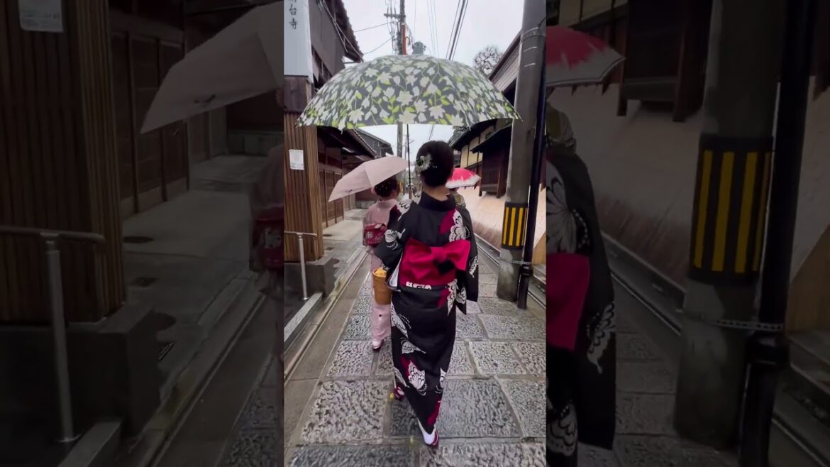 KYOTO attire🇯🇵