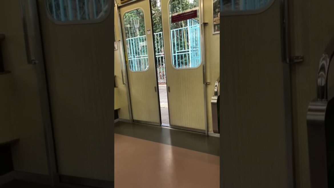 Japan's main public transportation is the train #shorts #train #travel