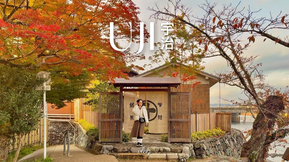 Autumn Day Trip to UJI, Kyoto ๐๐ต Best Matcha Udon + Curry & Aesthetic Autumn Spot Autumn Day Trip to UJI, Kyoto ๐๐ต Best Matcha Udon + Curry & Aesthetic Autumn Spot