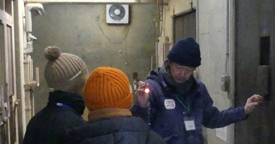 North Japan city zoo flooded with reservations for rare tours of hibernating black bears North Japan city zoo flooded with reservations for rare tours of hibernating black bears