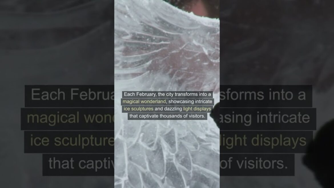 Sapporo's Snow Spectacle Wonderland Awaits