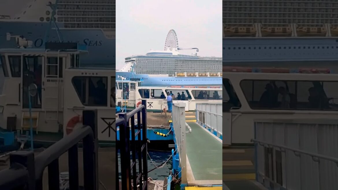 Free ride in Osaka🇯🇵 cross the river on the city ferry #japan #travel #usj #cruiseship #free