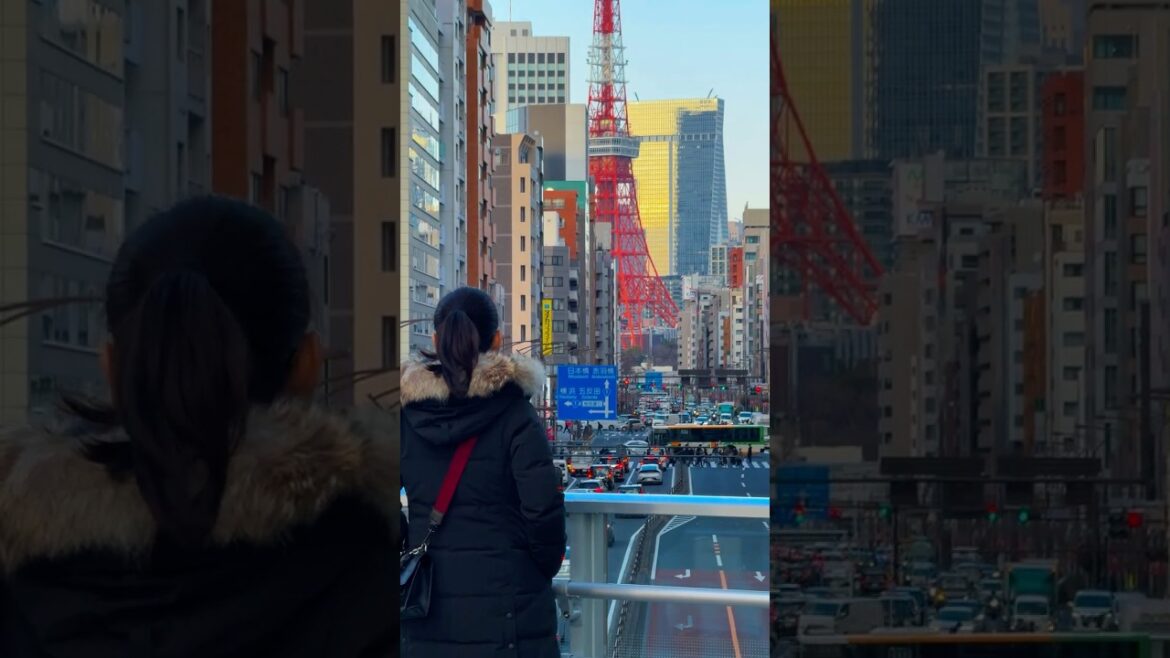 You’ll end up here one day🗼Tokyo Tower #japan #tokyo #日本 #travel #trending #foryou #viral