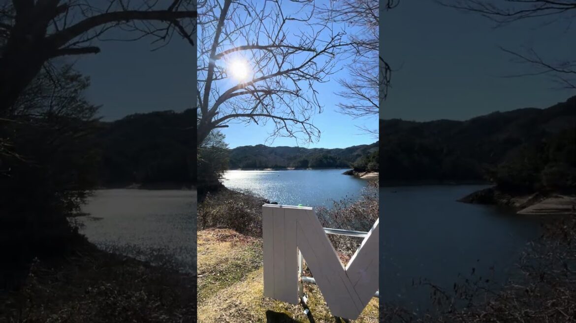 Nagoya Driving Across Japan 🏎️🏁 #japan #driving #travel #nagoya #jdm