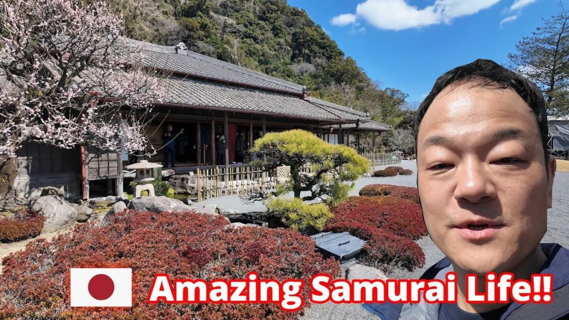 Japan Travel | Senganen, Kagoshima | Explore Samurai Life & Stunning Gardens Japan Travel | Senganen, Kagoshima | Explore Samurai Life & Stunning Gardens