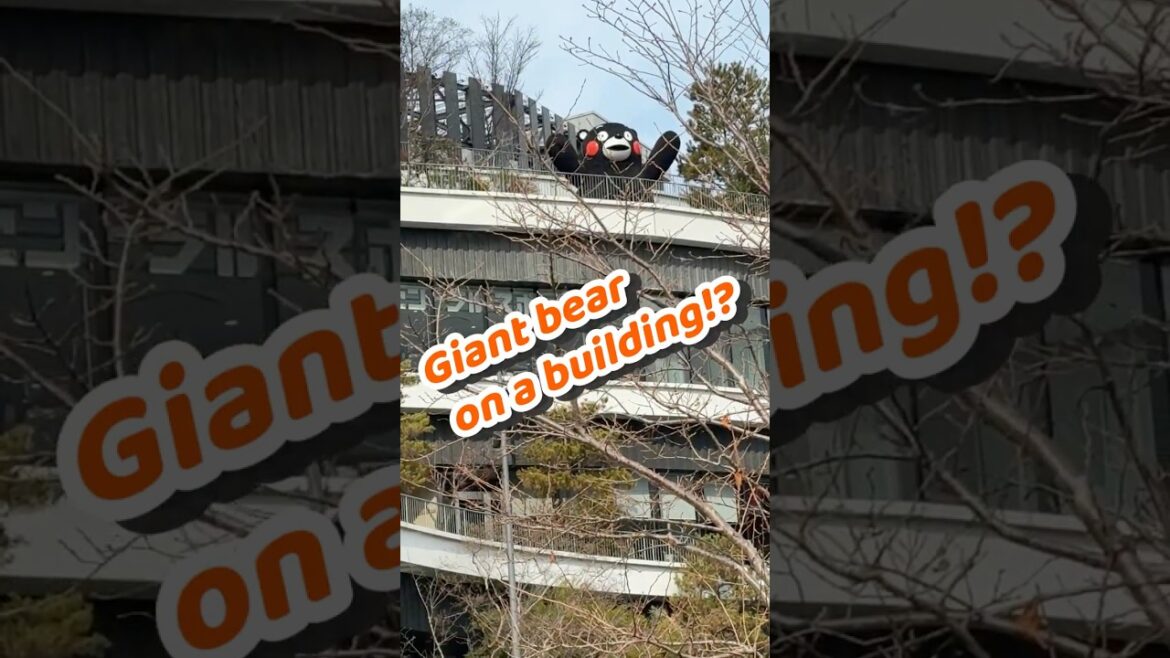 I Found a Giant Bear on a Building in Japan🐻‼️ (Kyushu Travel: Day 3 Kumamoto)