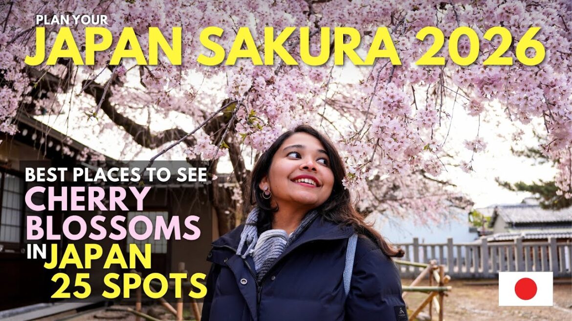 🇯🇵 We Visited the Top Sakura Spots in Japan | Best Places to See Cherry Blossoms in Japan 2026