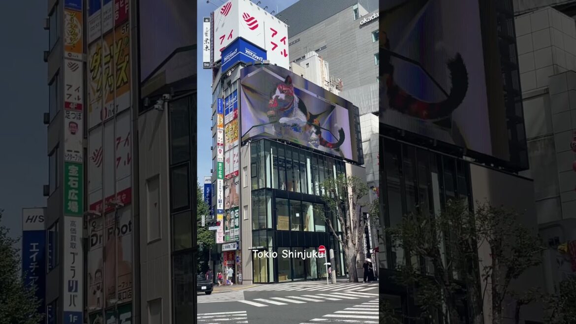Tokio Shinjuku #shorts #japan #travel