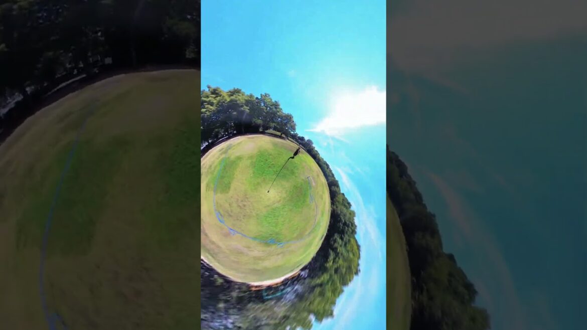 浜松城公園 #japan #travel #旅行 #insta360 #insta360x3 #shorts #浜松