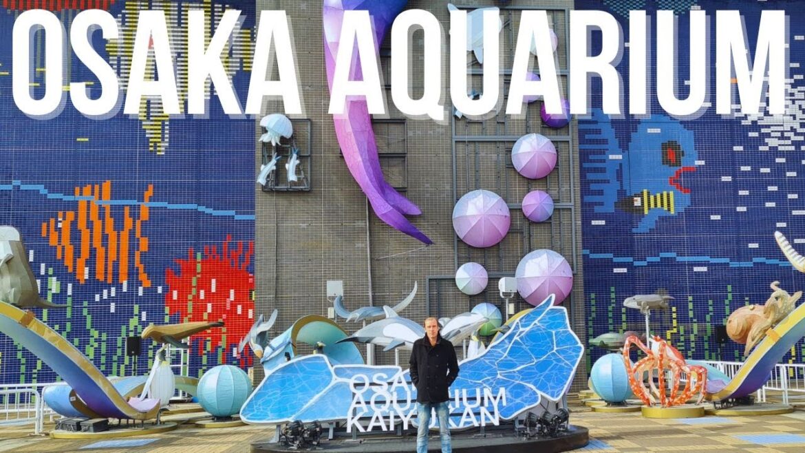 Osaka Aquarium Kaiyukan Tour – Incredible Marine Exhibits Osaka Aquarium Kaiyukan Tour - Incredible Marine Exhibits