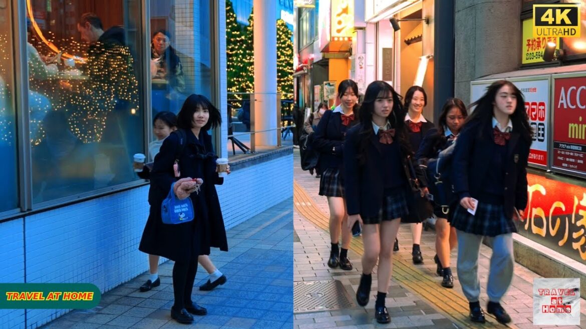 4K HDR Japan travel 2026 | Walk in Shinjuku（新宿）Tokyo Japan | Relaxing Natural City ambience