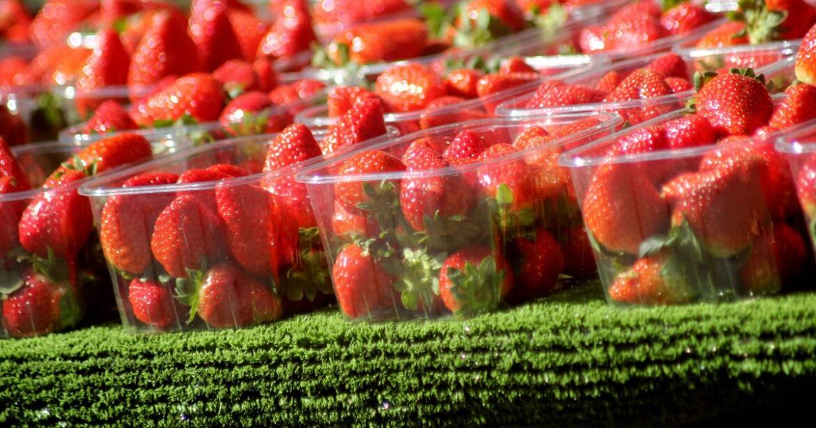 ‘I tried 1 Japanese strawberry from Harrods and the price floored me’ My London