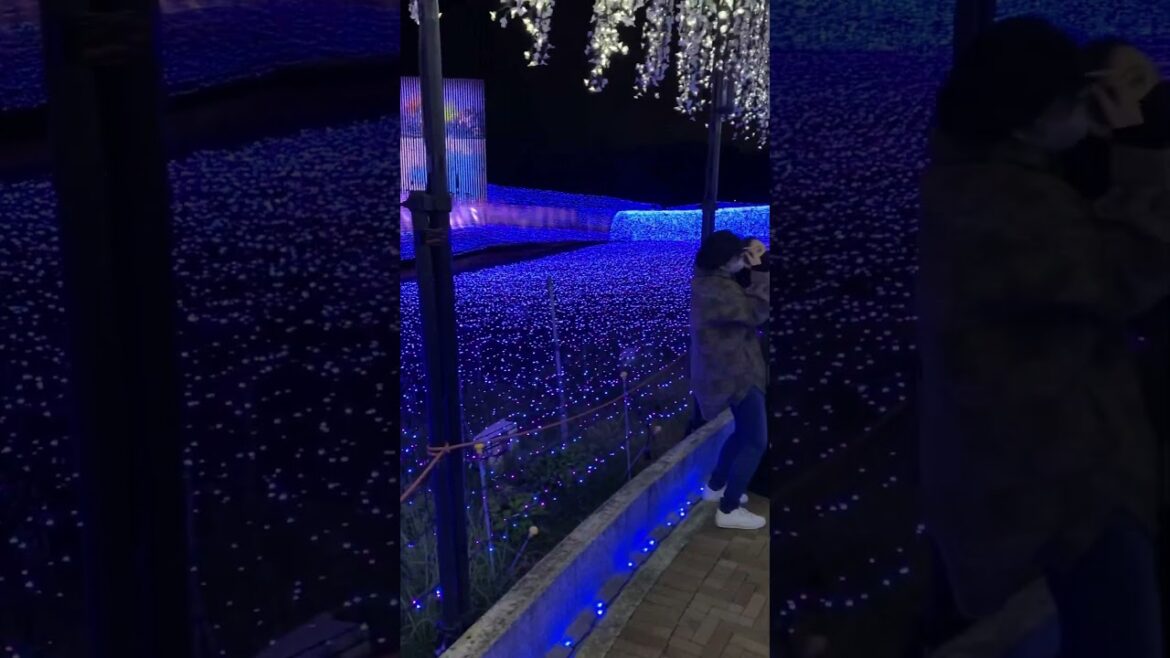 Best place to visit in Nagoya Of Japan Nabana no sato #Aichi #nagoya  #japan