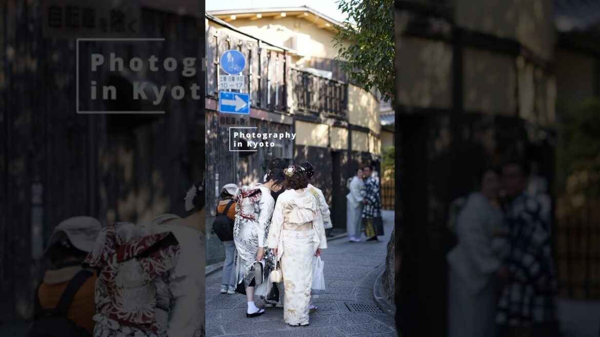 Photography in Kyoto: GFX 50SII + GF 80mm F1.7
