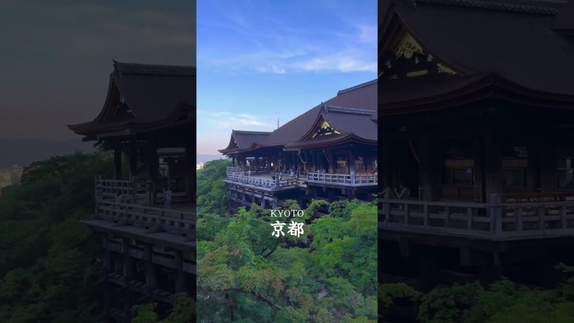 Kyoto Feels Like a Dream 🇯🇵❤️ #japan #japantravel #京都