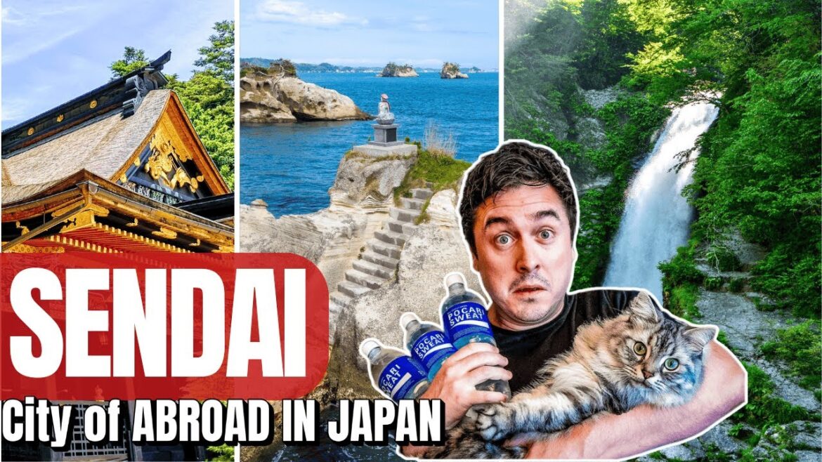 Sendai 🇯🇵 10 Things to Do Where Abroad in Japan lived