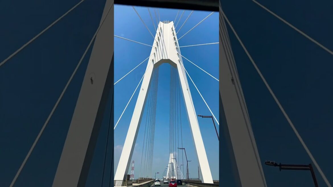 Daishi  Bridge #blog #travel #utubeshorts #vlog #fyp #bridge #yokohama #kawasaki #channelpages