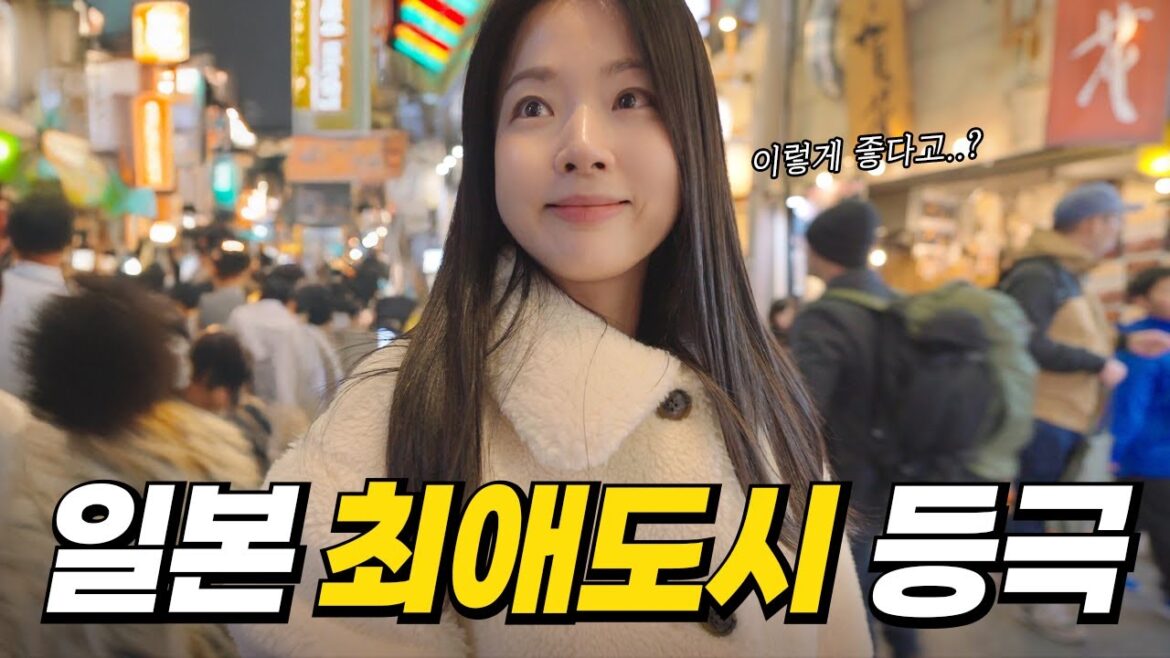 교토 왜 안가요?? 쇼핑, 맛집, 분위기 모든게 완벽한 교토 여행기