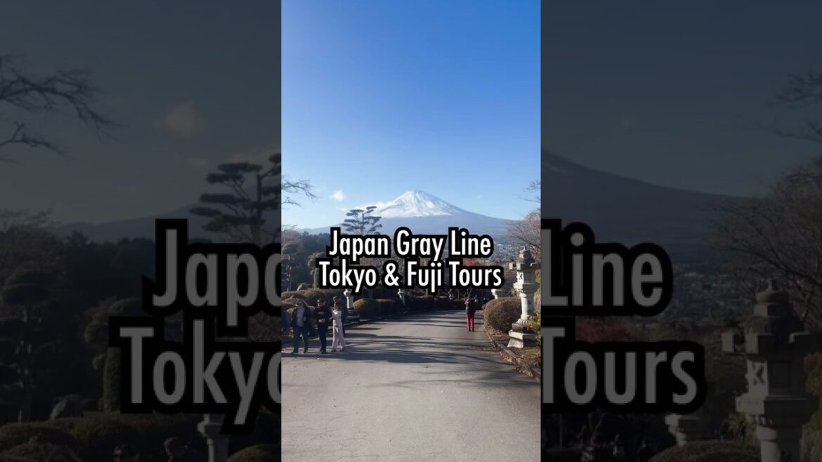 Japan Gray Line in 15 Seconds ✨