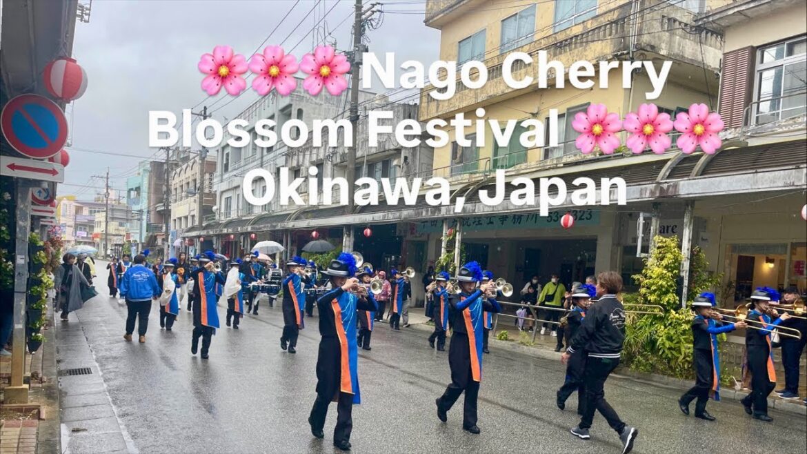 Nago Cherry Blossom Festival Street in Okinawa 🌸 Early Sakura in Japan
