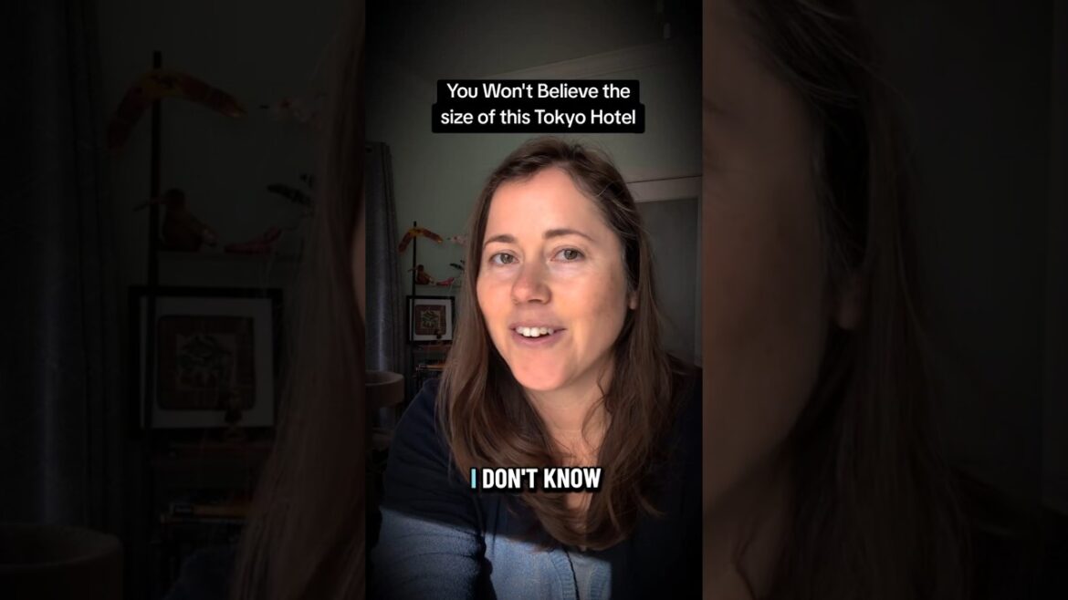 Unbelievable SIZE of Typical Tokyo Hotel Room