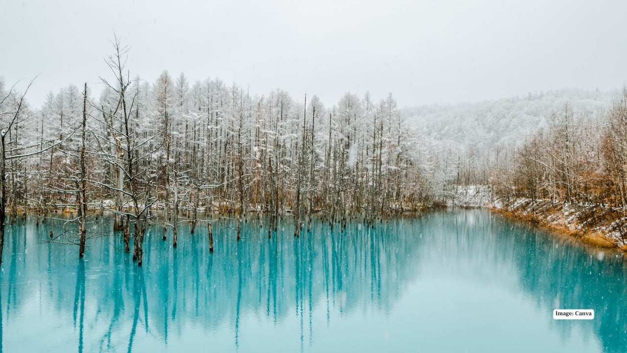 5. Biei If you’ve ever seen photos of Hokkaido’s rolling hills, chances are they were taken in Biei. This small town is famous for its painterly landscapes—soft hills, endless fields, and winding roads that seem designed for slow travel. The Blue Pond, with its unreal turquoise colour, changes mood with the seasons and light, making it a favourite among photographers. Cycling through Biei is one of the most peaceful ways to experience rural Hokkaido. Pro tip: Rent a car or bicycle to explore beyond the main sights.